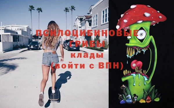 spice Киреевск