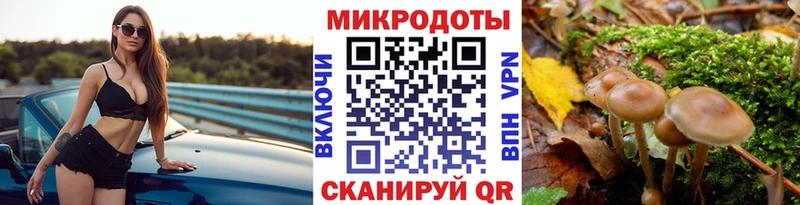 Купить где  Иланский  Галлюциногенные грибы Psilocybine cubensis 
