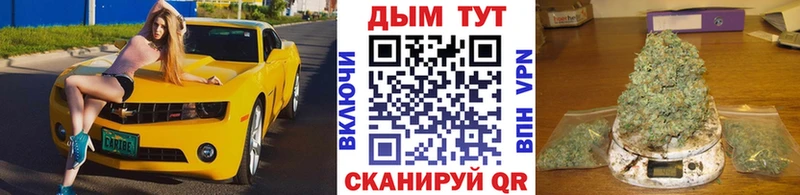 Купить  Иланский  Канабис марихуана 